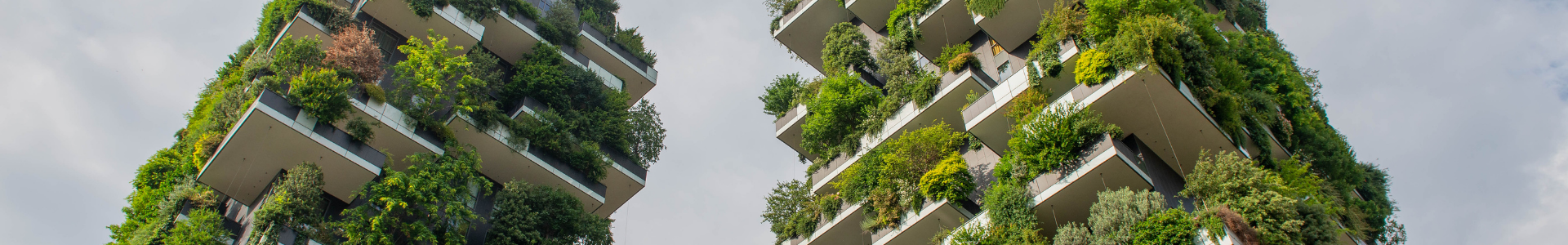 Title background for page Sustainability